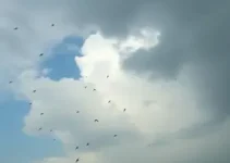 Sobral tempo nublado