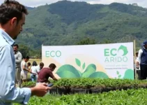 VII ECOARIDO