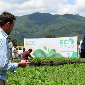 VII ECOARIDO