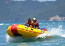 Paraisense no Cerapió