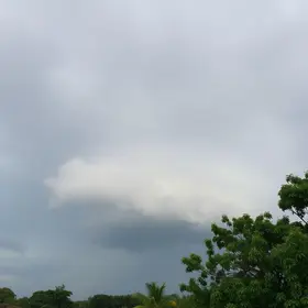sobral