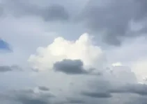 Sobral