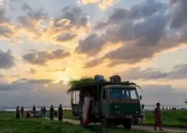 Caravana Ceará Um Só