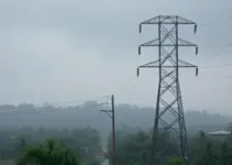 alerta amarelo
