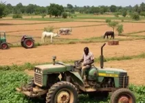 agricultura familiar