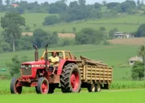 agricultura familiar