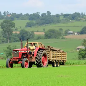 agricultura familiar
