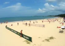 Amazônia Open