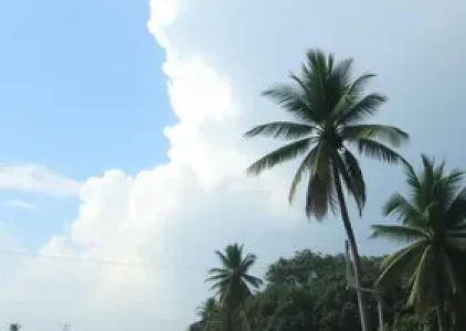 umidade em Sobral