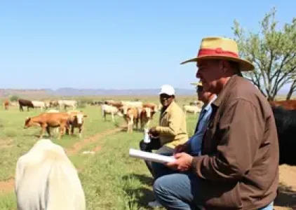 Últimas noticias de Sobral